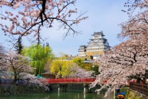 Japan Holland Link is engaged in activities that connect Japan and the Netherlands. Japan Holland Link is betrokken bij activiteiten die Japan en Nederland met elkaar verbinden.